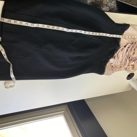 JS Collections Sheath Cocktail Dress Blush/Black - Picture 13 of 14